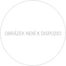 Náhled - Trvalá objednávka - Stříbrné mince České Republiky b.k.