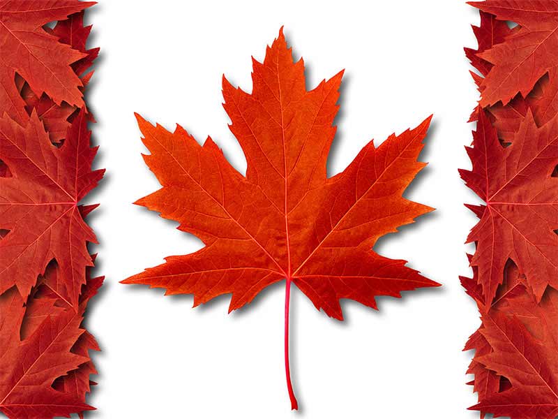 Maple Leaf. Investiční zlaté mince Kanady.